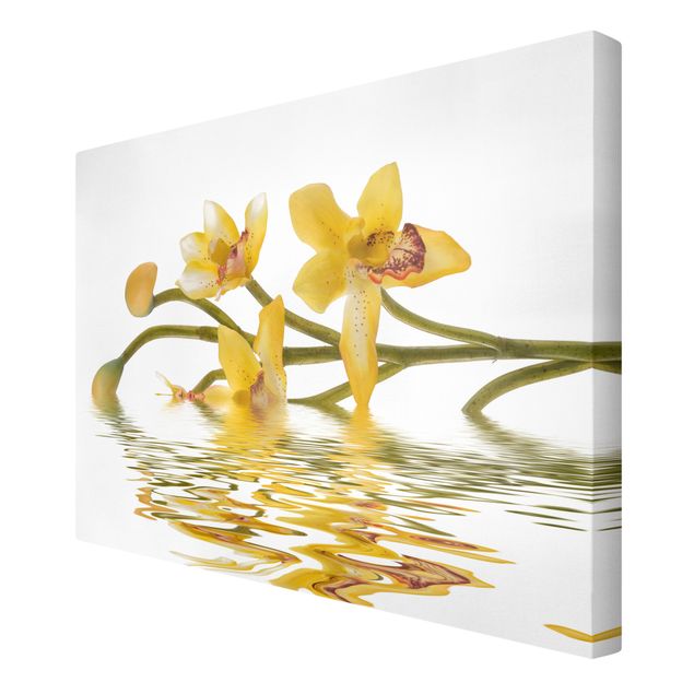 Wandbilder Blumen Saffron Orchid Waters