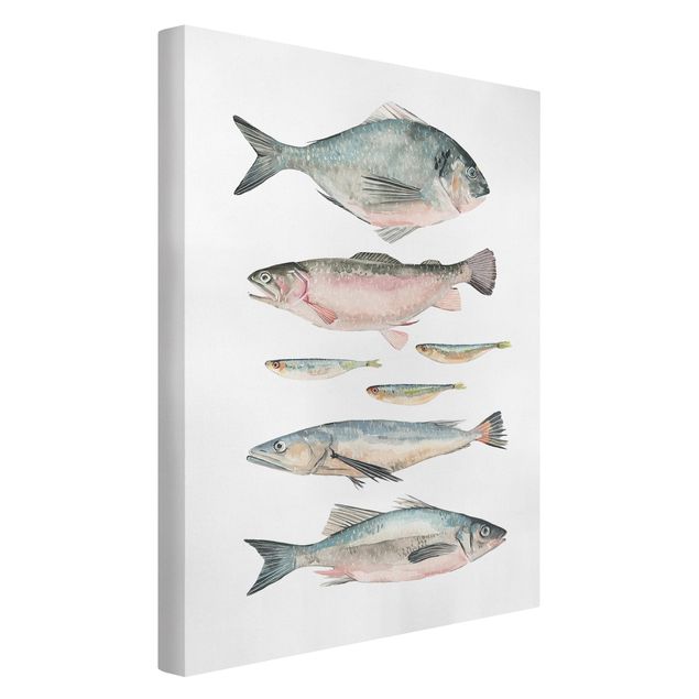 Tierbilder Leinwand Sieben Fische in Aquarell II
