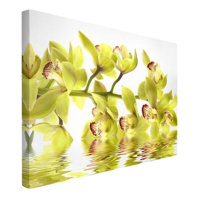 Blumenbilder auf Leinwand Splendid Orchid Waters