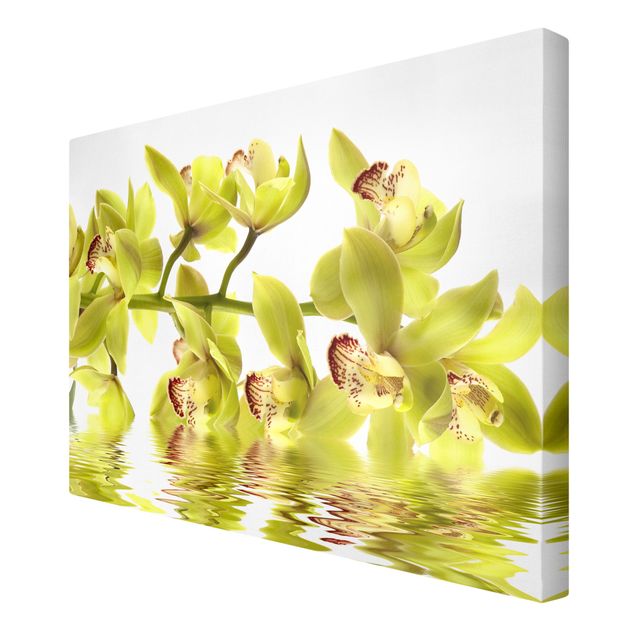 Wandbilder Blumen Splendid Orchid Waters