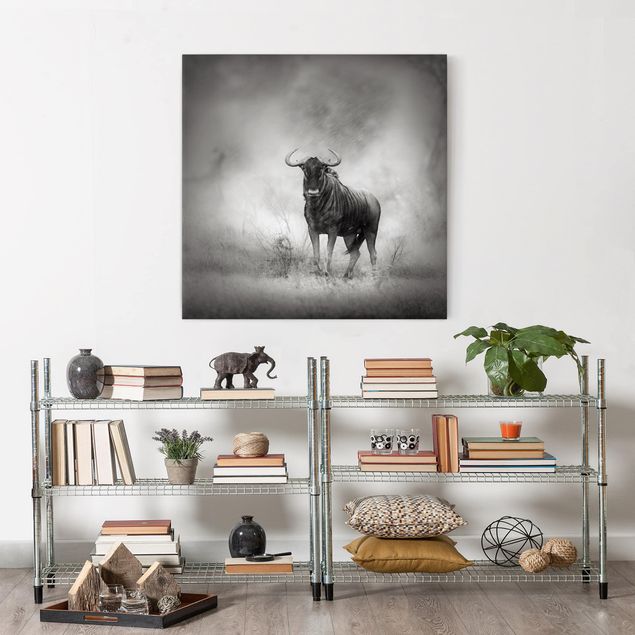 Leinwandbilder schwarz-weiß Staring Wildebeest