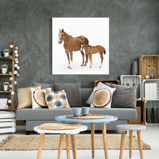 Wandbilder Pferde Stute & Fohlen
