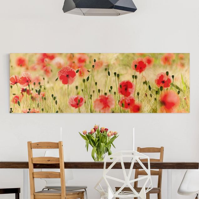 Wandbilder Mohnblumen Summer Poppies