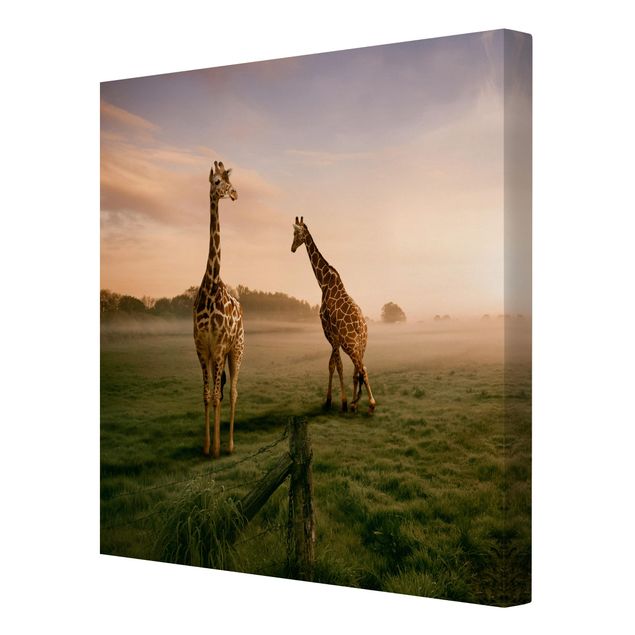 Tierbilder Leinwand Surreal Giraffes