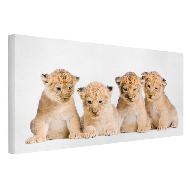 Wandbilder Löwen Sweet Lion Babys