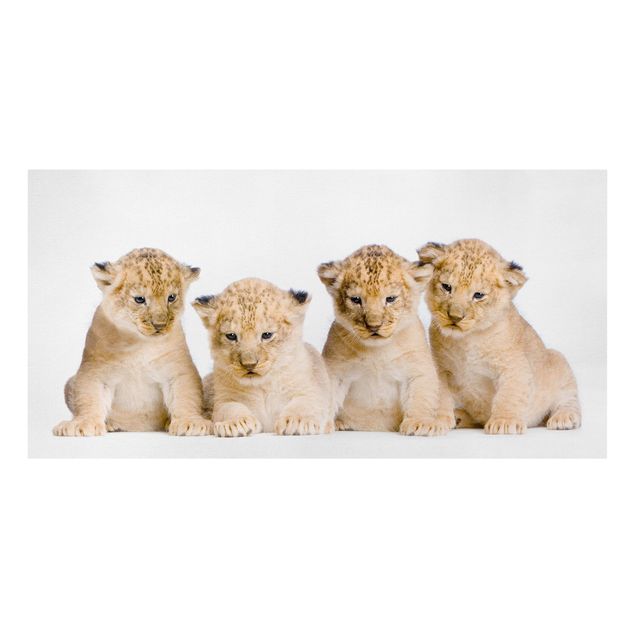 Leinwandbilder Tiere Sweet Lion Babys
