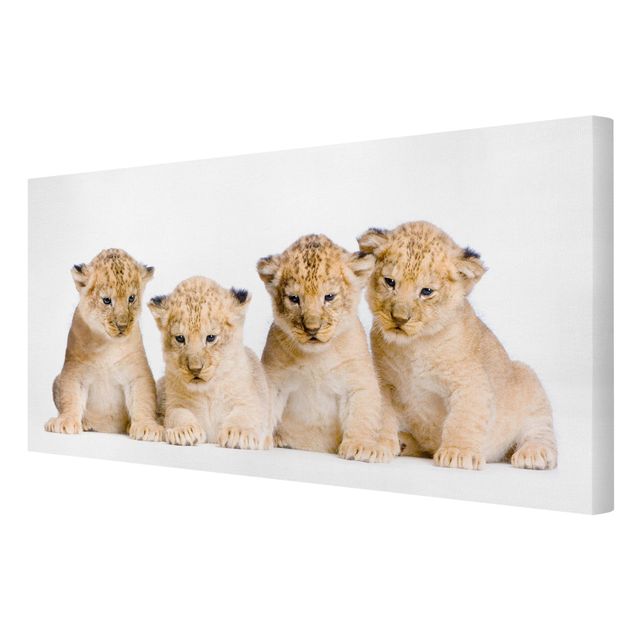 Wandbilder Modern Sweet Lion Babys