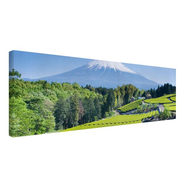 Wandbilder Berge Teefelder vor dem Fuji