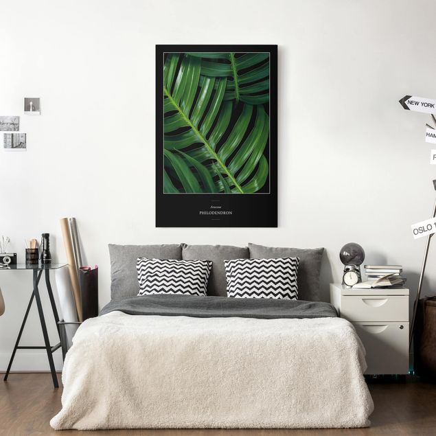 Wandbilder Floral Tropische Blätter Philodendron
