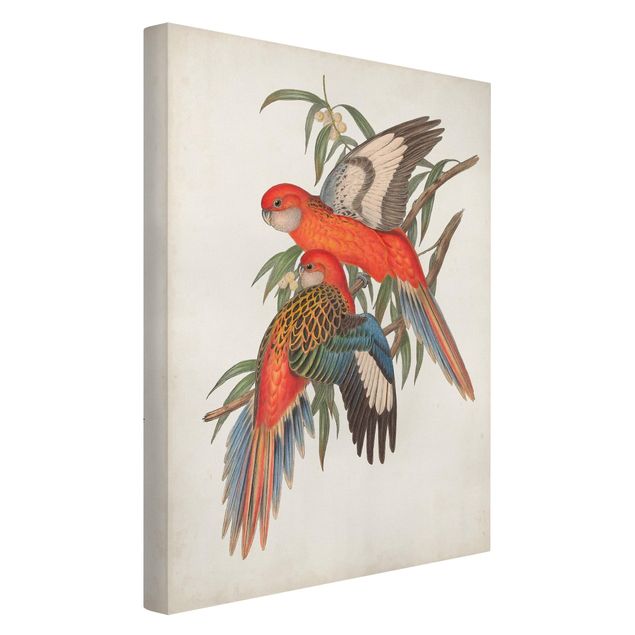 Wandbilder Floral Tropische Papageien I