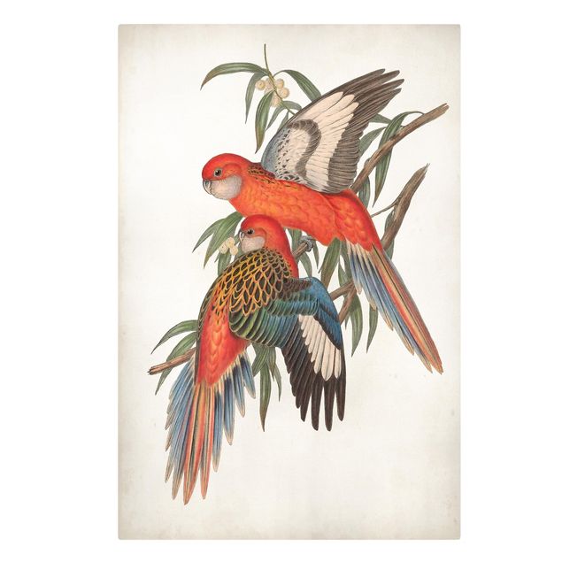 Wandbilder Blumen Tropische Papageien I