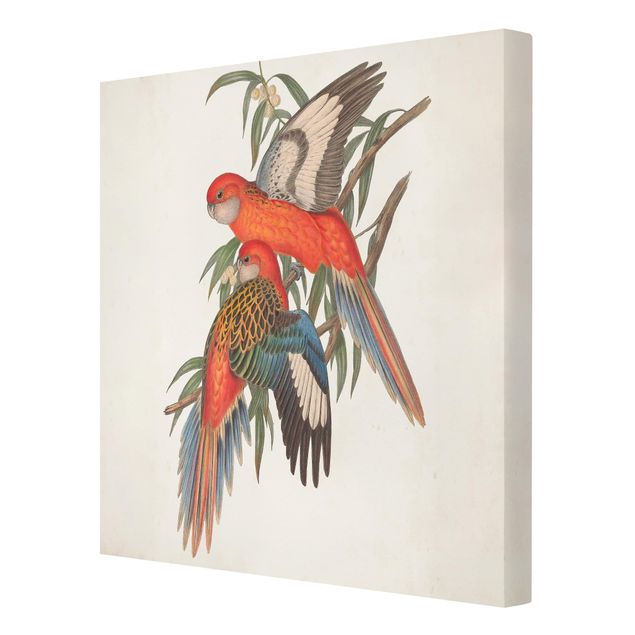 Wandbilder Tropische Papageien I