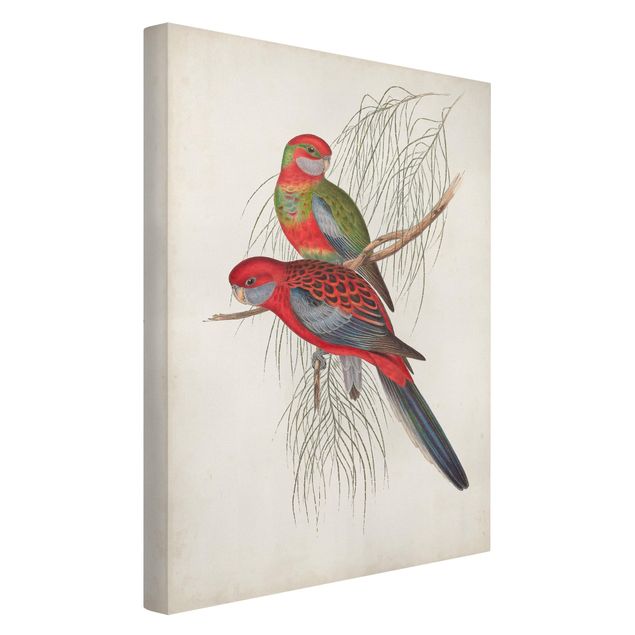Wandbilder Floral Tropische Papageien III
