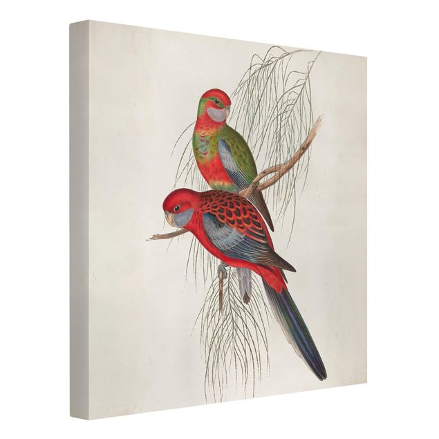 Wandbilder Floral Tropische Papageien III