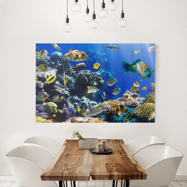 Wanddeko Küche Underwater Reef
