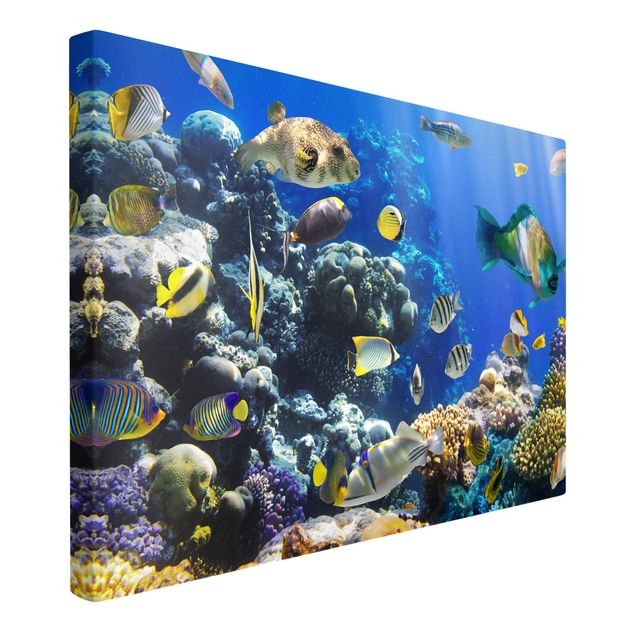 Wandbilder Landschaften Underwater Reef