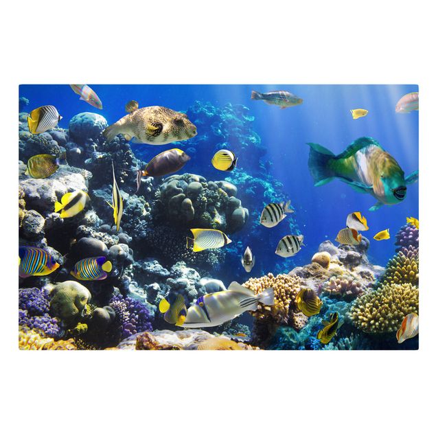 Wandbilder Strände Underwater Reef
