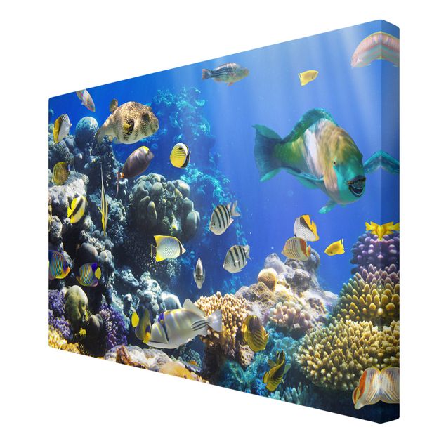 Wandbilder Meer Underwater Reef