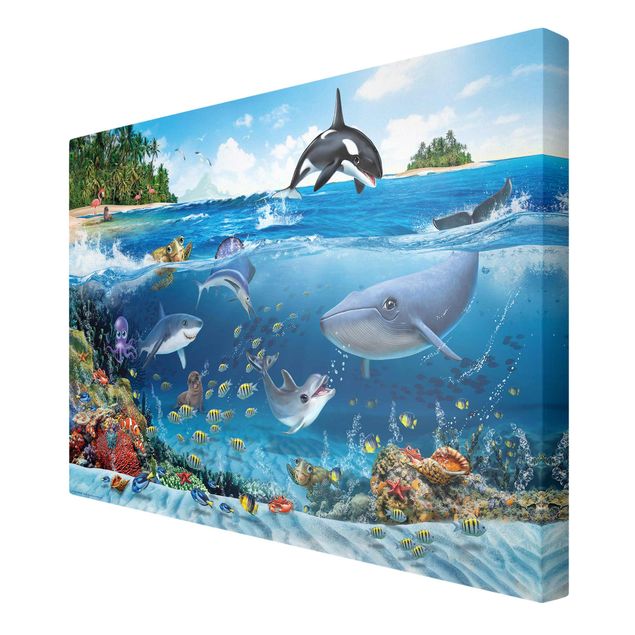 Wandbilder Meer Animal Club International - Unterwasserwelt mit Tieren