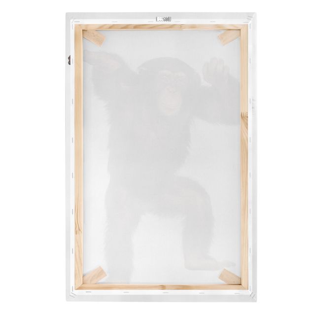 Wandbilder Vergnügter Affe
