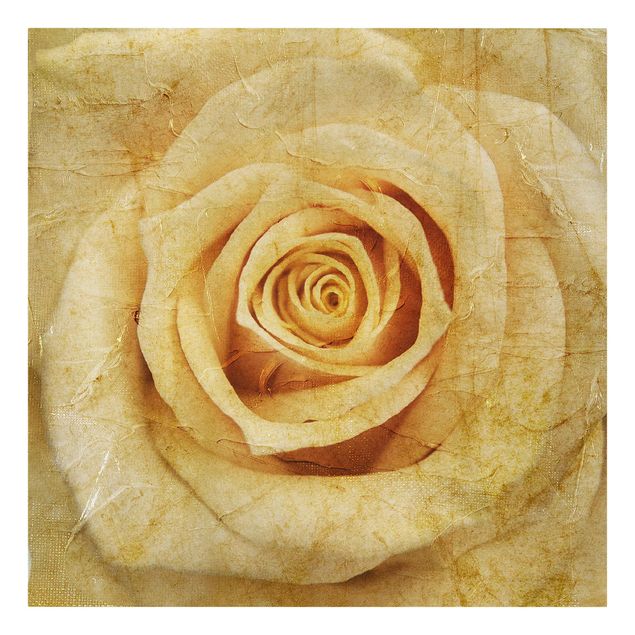 Wandbilder Blumen Vintage Rose