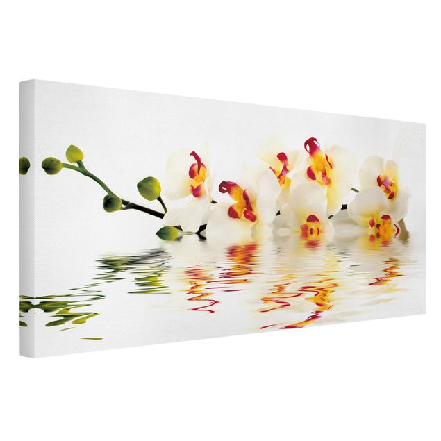 Leinwandbilder Blumen Vivid Orchid Waters