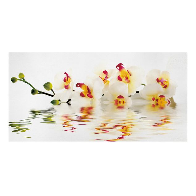 Wandbilder Floral Vivid Orchid Waters