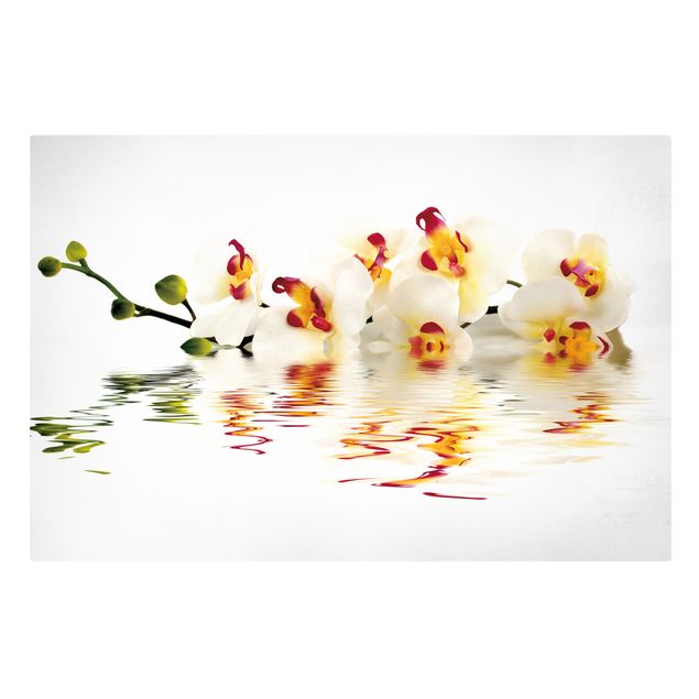 Leinwandbilder Blumen Vivid Orchid Waters