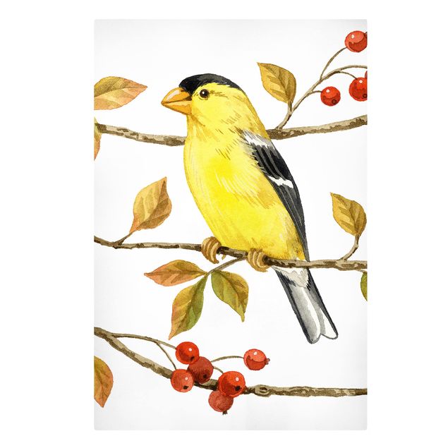 Wandbilder Modern Vögel und Beeren - Goldzeisig