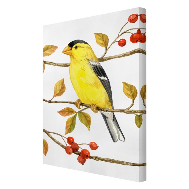 Wandbilder Vögel und Beeren - Goldzeisig