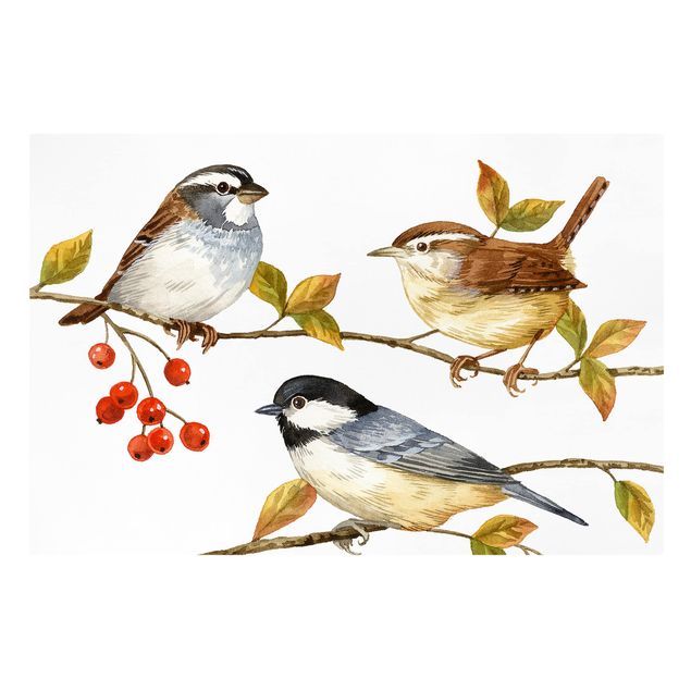 Wandbilder Modern Vögel und Beeren - Meisen
