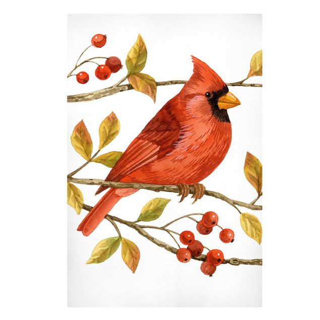 Wandbilder Modern Vögel und Beeren - Rotkardinal
