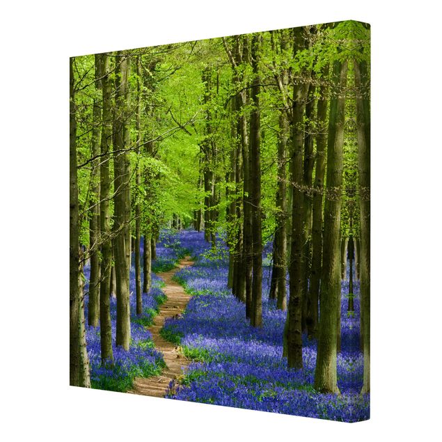Leinwandbild Wald Wanderweg in Hertfordshire
