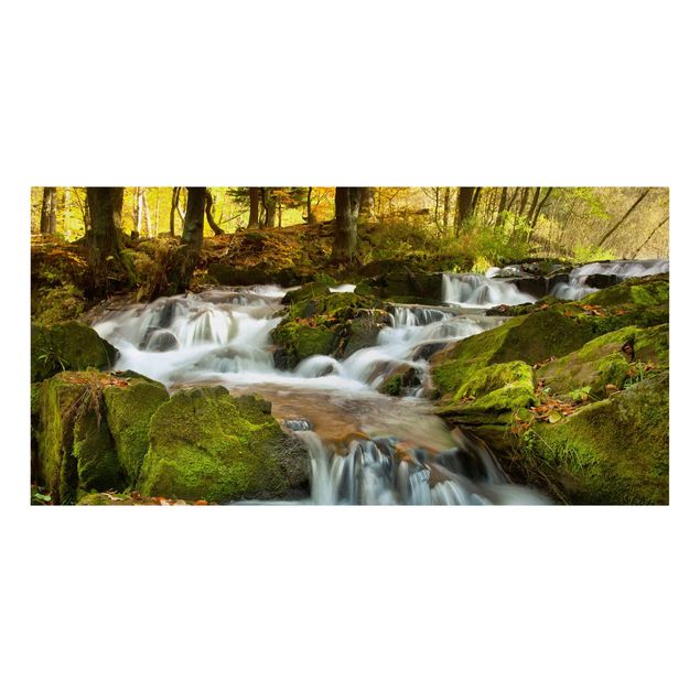 Natur Leinwand Wasserfall herbstlicher Wald