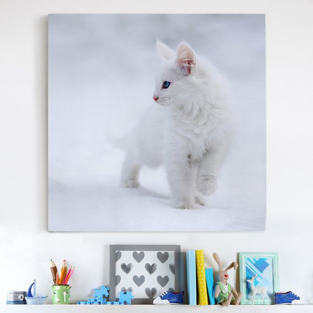 Katzenbilder auf Leinwand Weiß wie Schnee