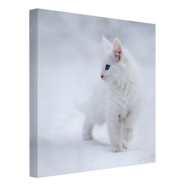 Tierbilder Leinwand Weiß wie Schnee