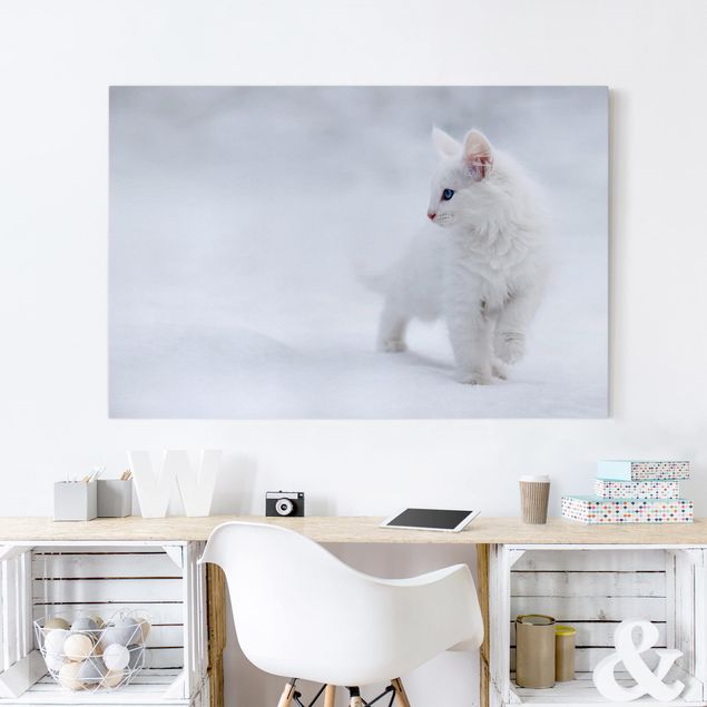 Wandbilder Katzen Weiß wie Schnee