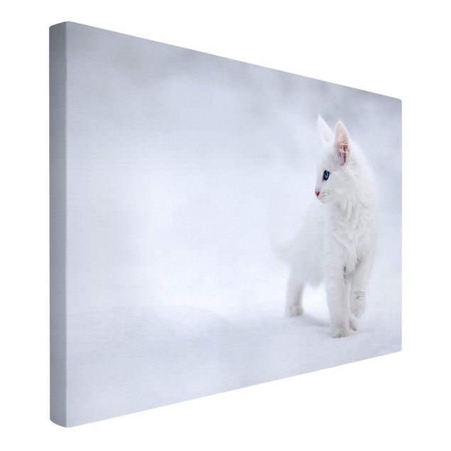Leinwandbilder Tiere Weiß wie Schnee