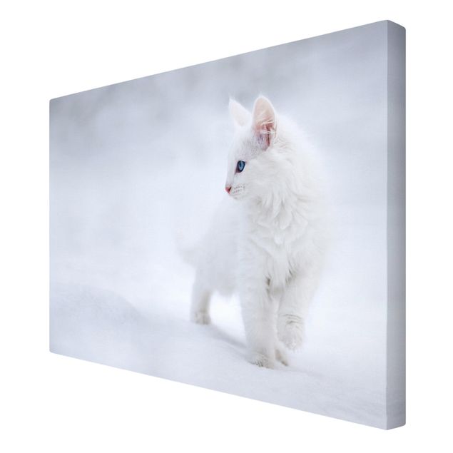 Wandbilder Tiere Weiß wie Schnee