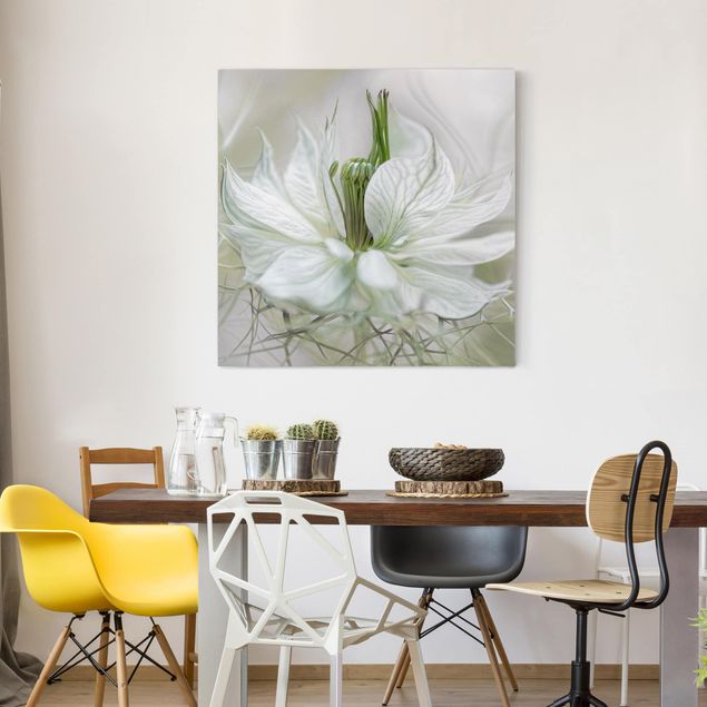 Leinwandbilder Blumen Weiße Nigella