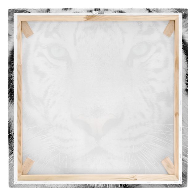 Wandbilder Modern Weißer Tiger