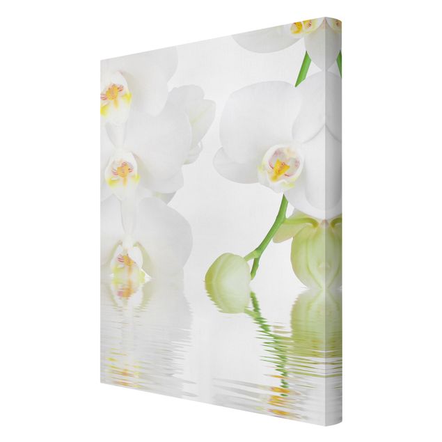 Wandbilder Blumen Wellness Orchidee - Weiße Orchidee