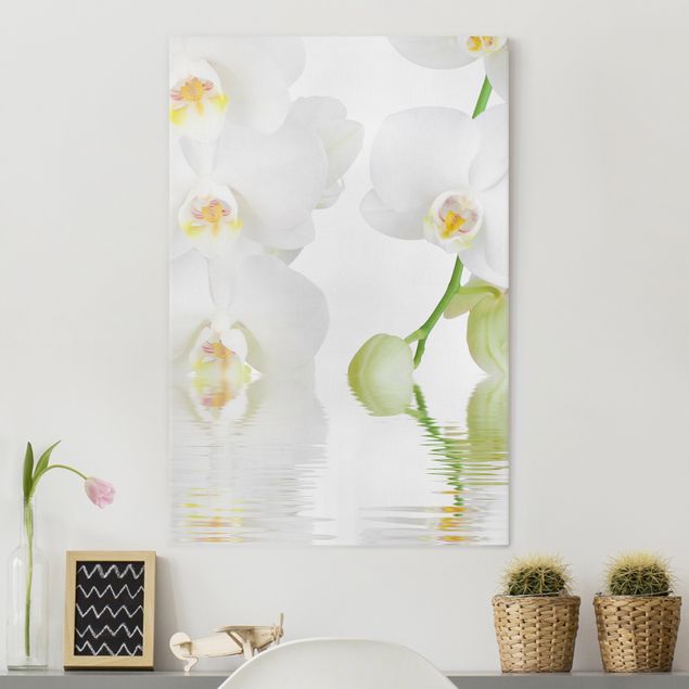 Wandbilder Orchideen Wellness Orchidee - Weiße Orchidee