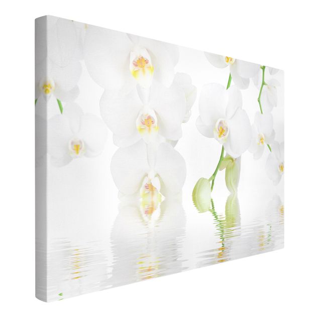 Leinwand Blumen Wellness Orchidee - Weiße Orchidee