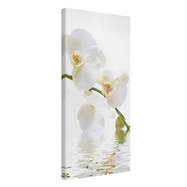 Leinwand Blumen White Orchid Waters