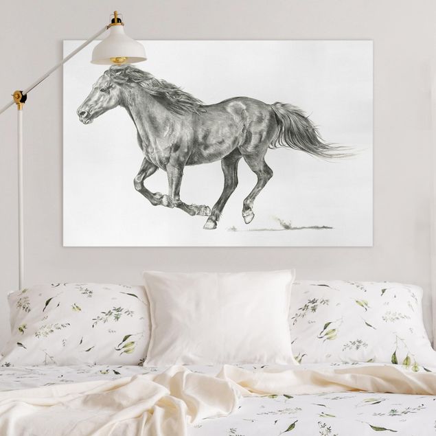 Wandbilder Pferde Wildpferd-Studie - Stute