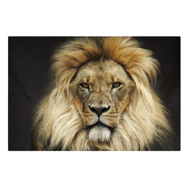 Leinwandbilder Tiere Wisdom of Lion