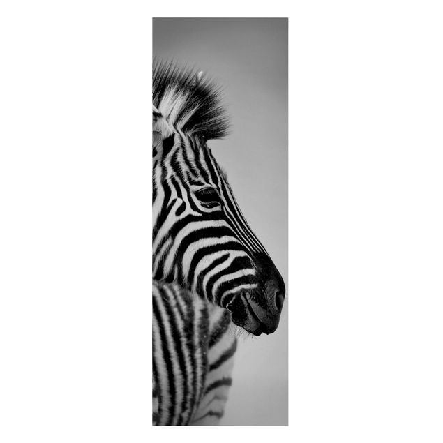 Tierbilder Leinwand Zebra Baby Portrait II