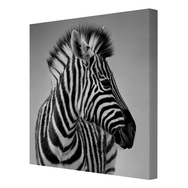 Wandbilder Afrika Zebra Baby Portrait II