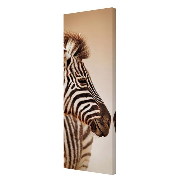Wandbilder Afrika Zebra Baby Portrait